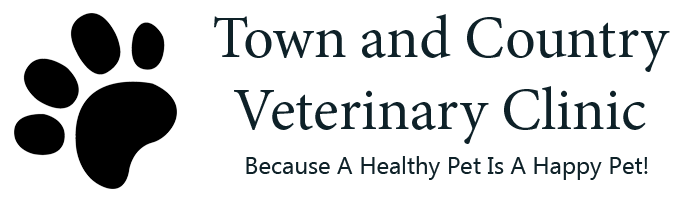 Veterinarian Services in Russellville, AR | Town and Country Veterinary  Clinic